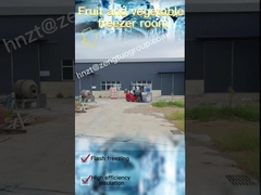 Painel de armazenamento a frio de 100 mm de espessura para construir armazenamento a frio